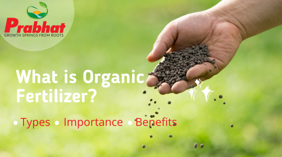 What Is Organic Fertilizer Types Importance Benefits Prabhat Agri