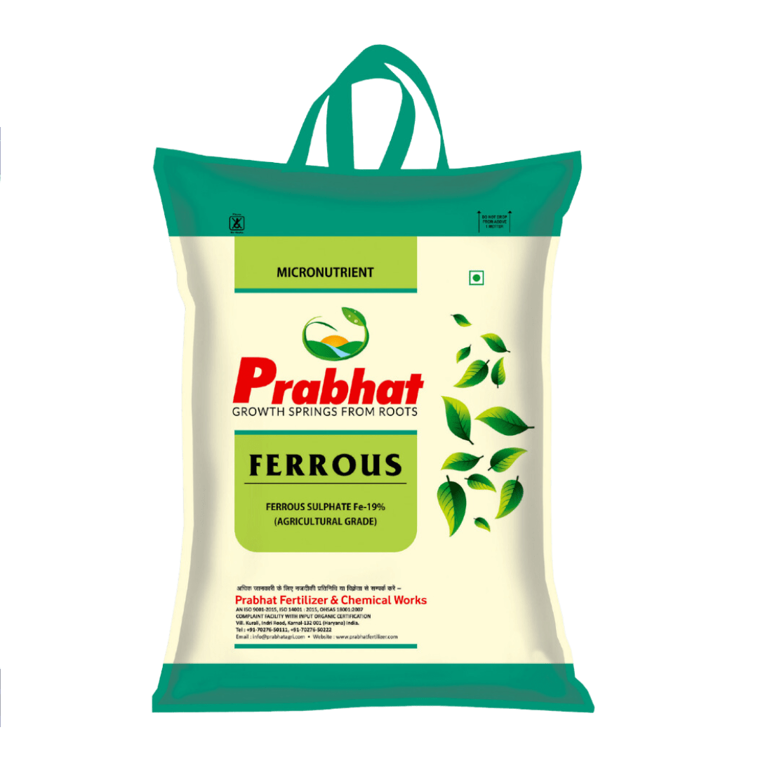 prabhat-ferrous-95%