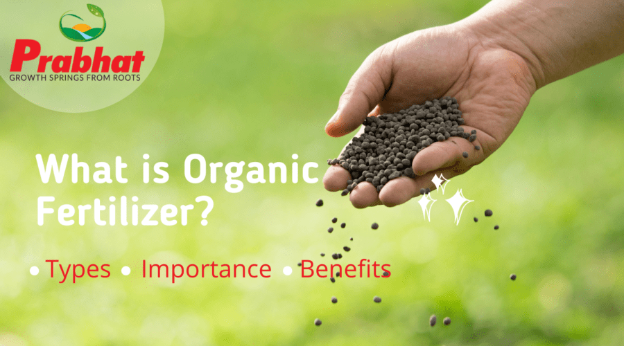 organic-fertilizer-900×500 organic-fertilizer-900x500